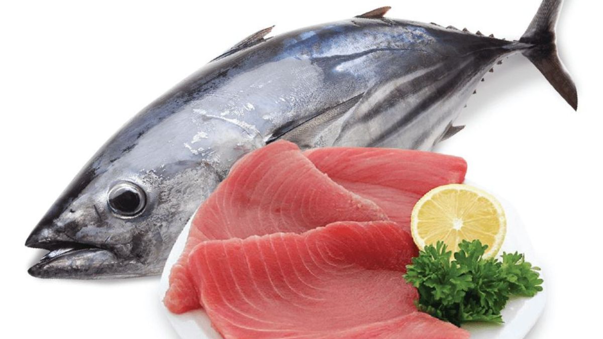 listao tuna